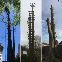 2021-06-27 20.13.48 (13)