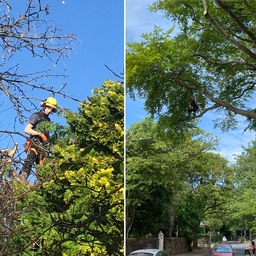 2021-06-27 20.13.48 (14)