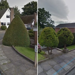 2021-06-27 20.13.48 (17)