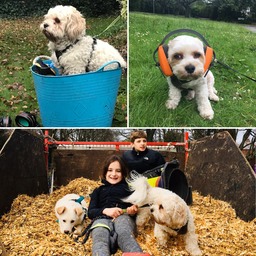 2021-06-27 20.13.48 (18)